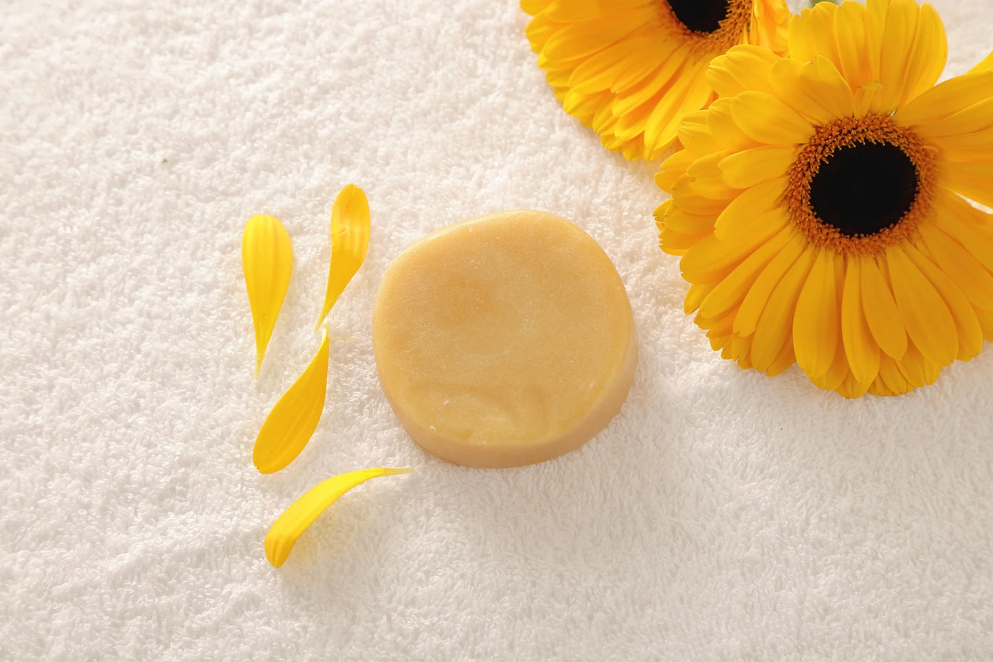 All-Natural Zero-Waste Shampoo & Conditioner Bar – Eco-Friendly, Paraben-Free, Nourishing for All Hair Types | Lasts Up to 40 Washes